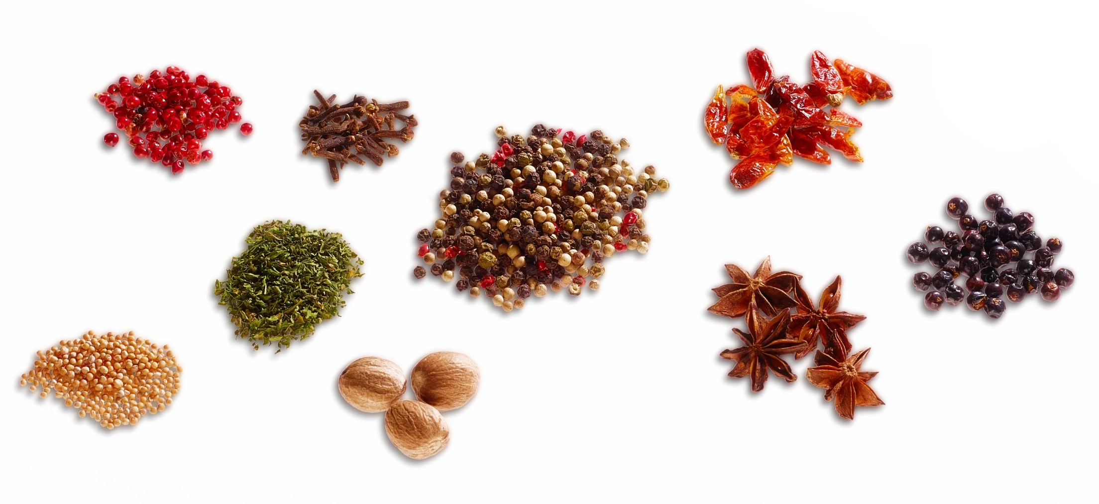 Das Titelbild von Lebenswuerze zeigt verschieden Gewuerze auf weisen Untergrund